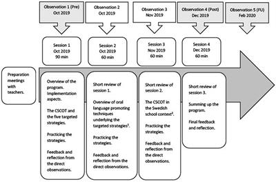 Primary school teachers’ patterns in using communication-supporting strategies following a professional development program: lessons learned from an exploratory study with three teachers